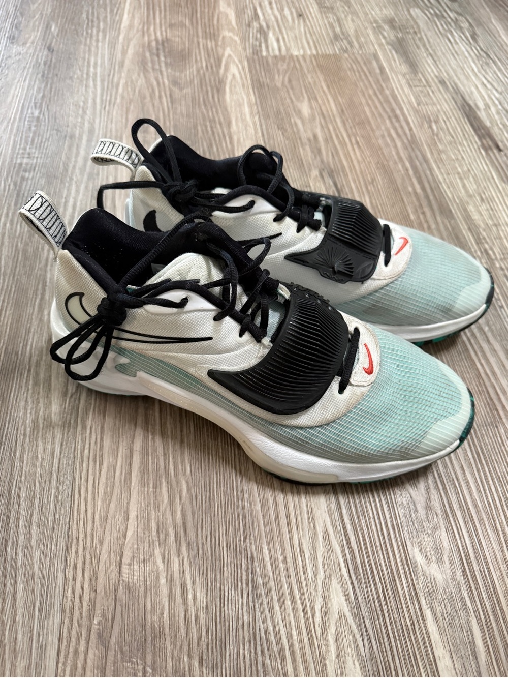 Nike Giannis Basketball Shoes